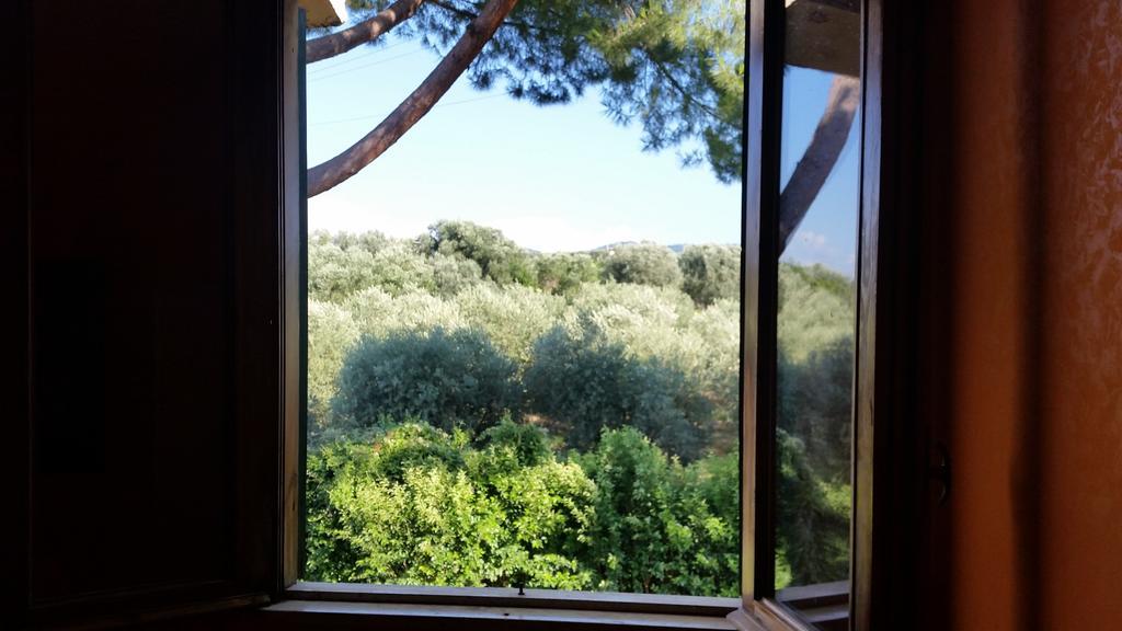 Hotel Villa Maria Luigia فراسكاتي الغرفة الصورة